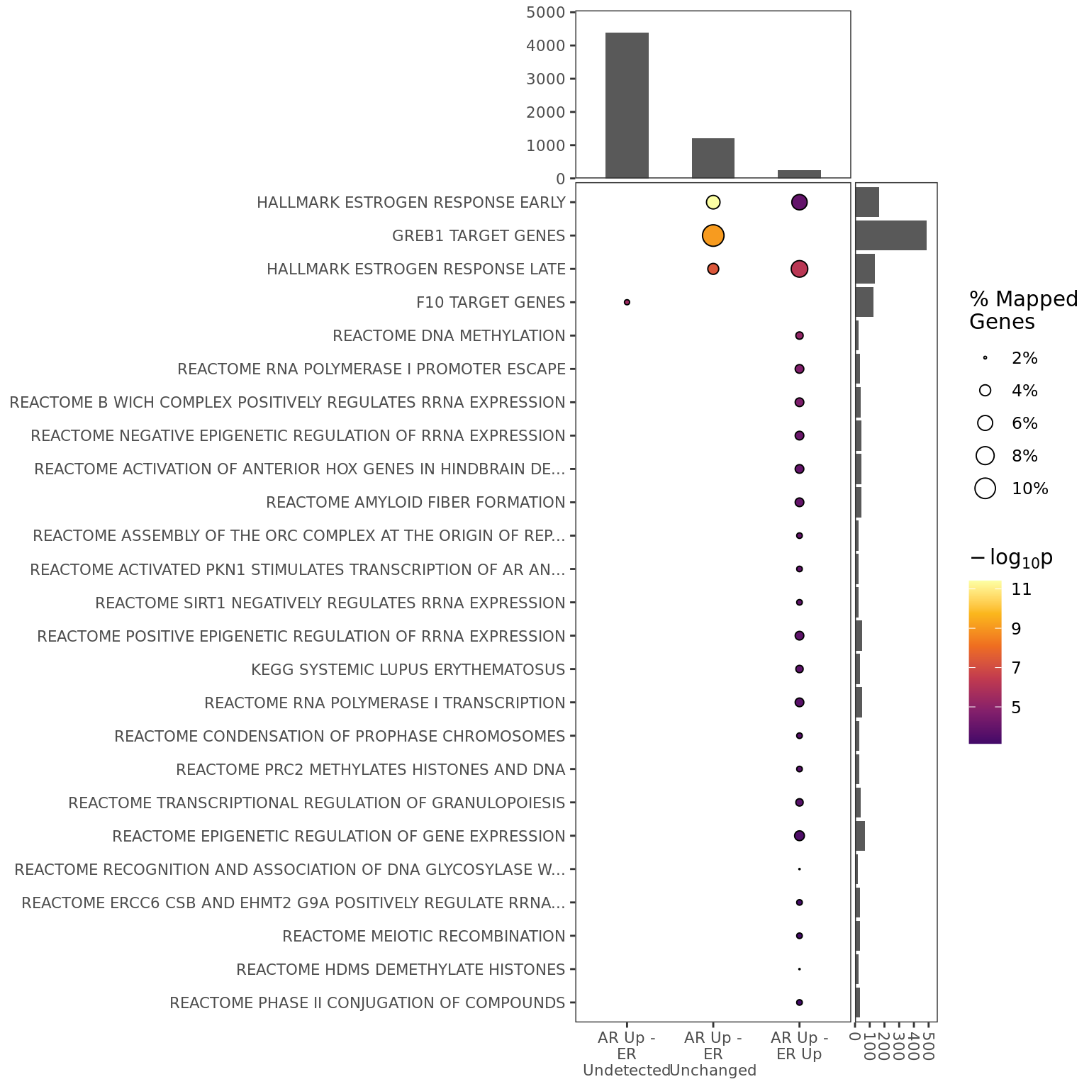 *Combined enrichment across all groups, showing only significant results for enrichment. The top panel shows how many genes were mapped to sites for each group, whilst the right panel shows gene set size. Point sizes indicate the proportion of mapped genes which are from each pathway.*