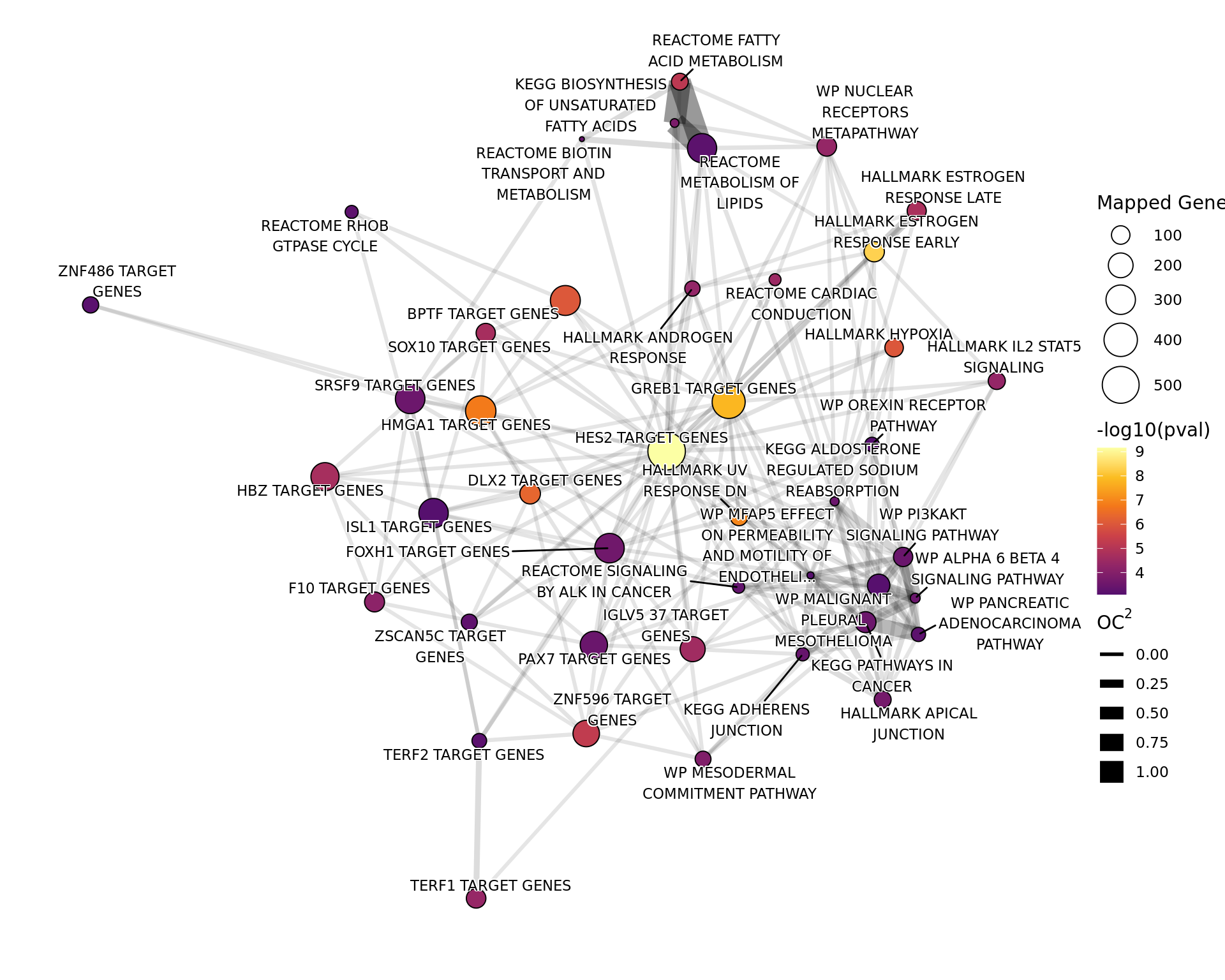 *Network plot showing gene-sets enriched amongst the overall set of sites with a binding site for __both__ AR and H3K27ac.*