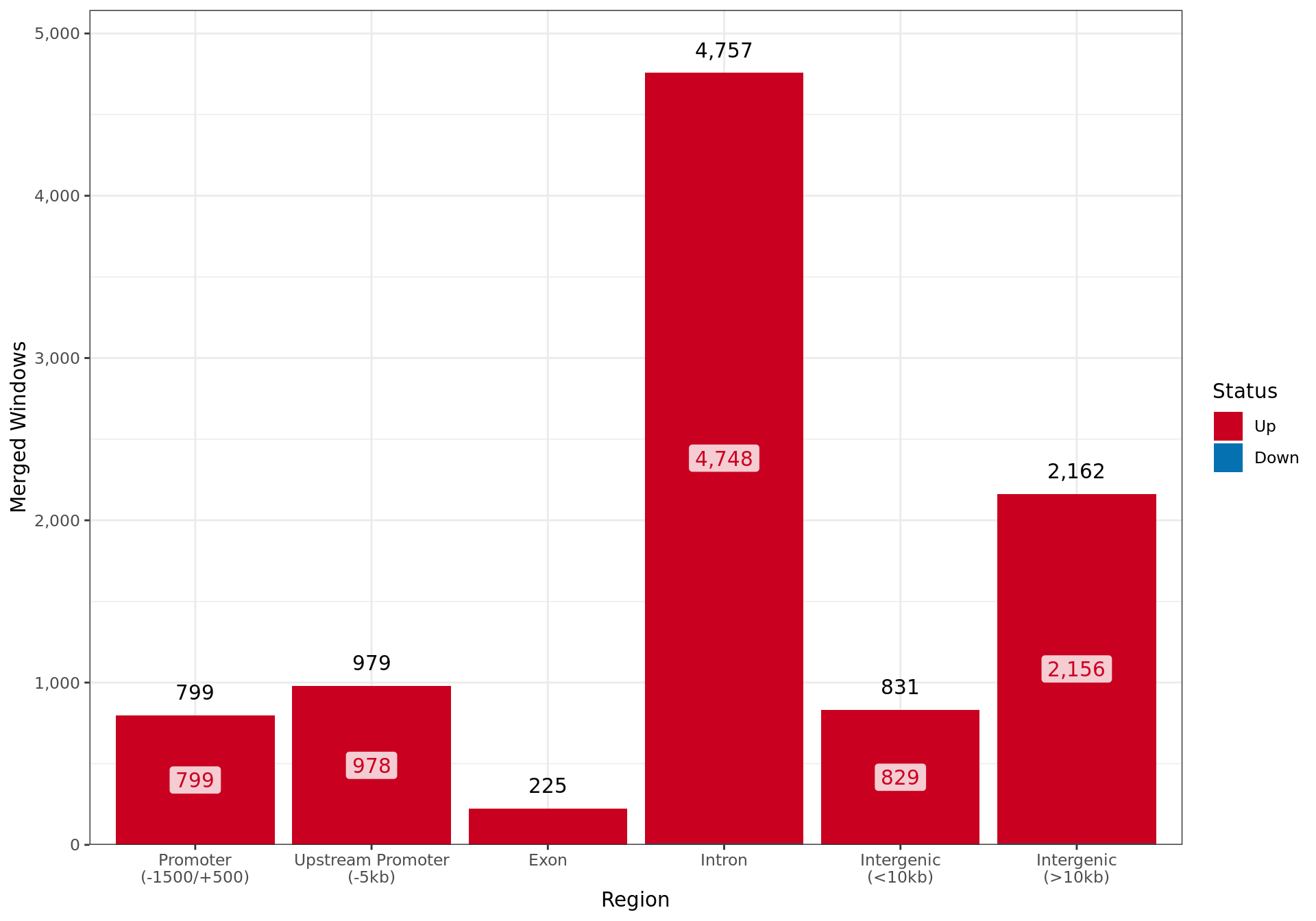 *Merged windows considered as showing differential AR binding across all genomic regions.*