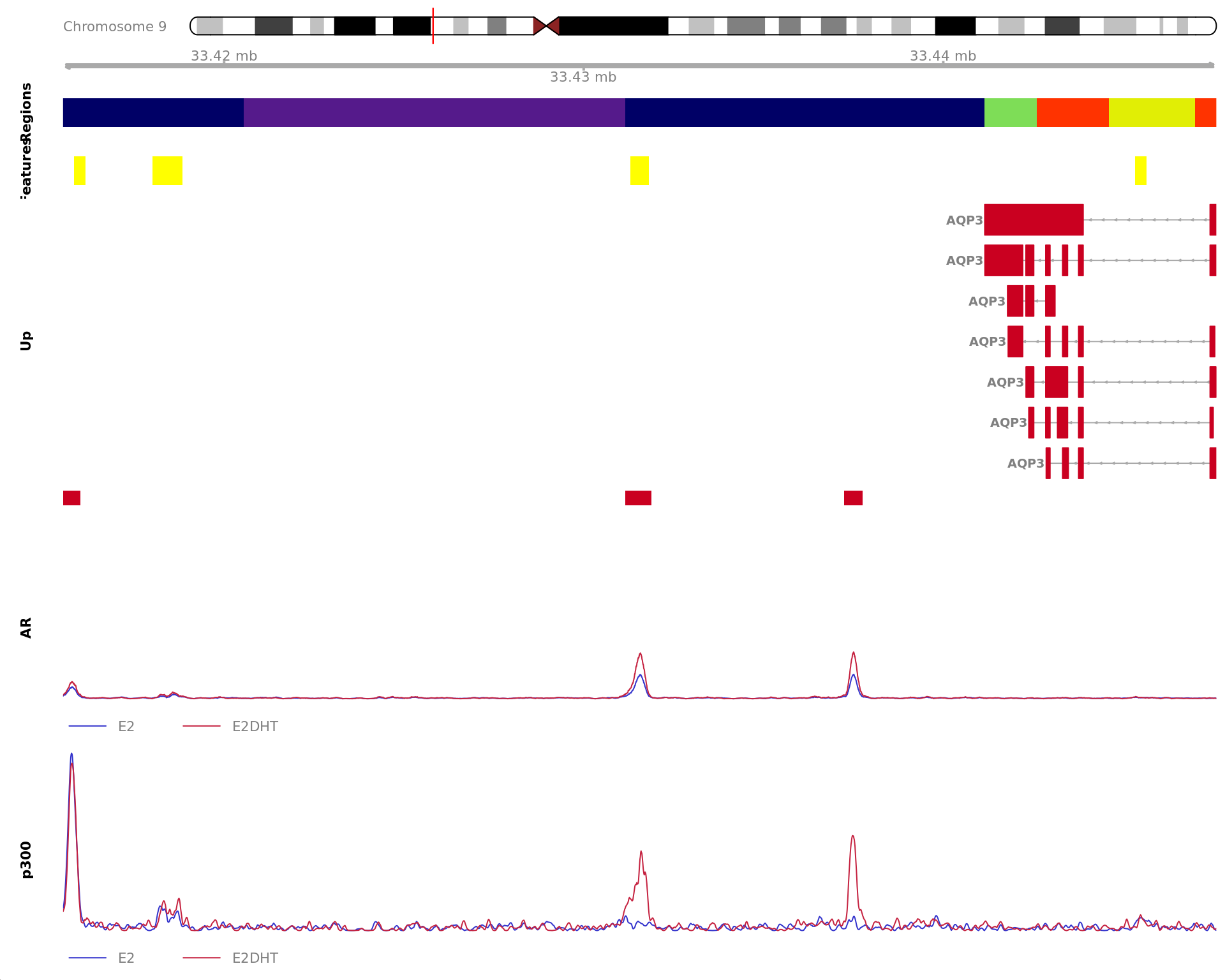 *Region showing all merged AR-bound windows mapped to UGDH. Windows considered to be unchanged for AR are annotated in grey, with other colours indicating AR gain or loss. Mapped windows are only shown if within 5Mb of UGDH. Gene-centric regions and external features are shown in the top panel. The estimated logFC for UGDH is 1.52 with an FDR of 2.34e-10. Undetected and unchanged genes are shown on separate tracks.*