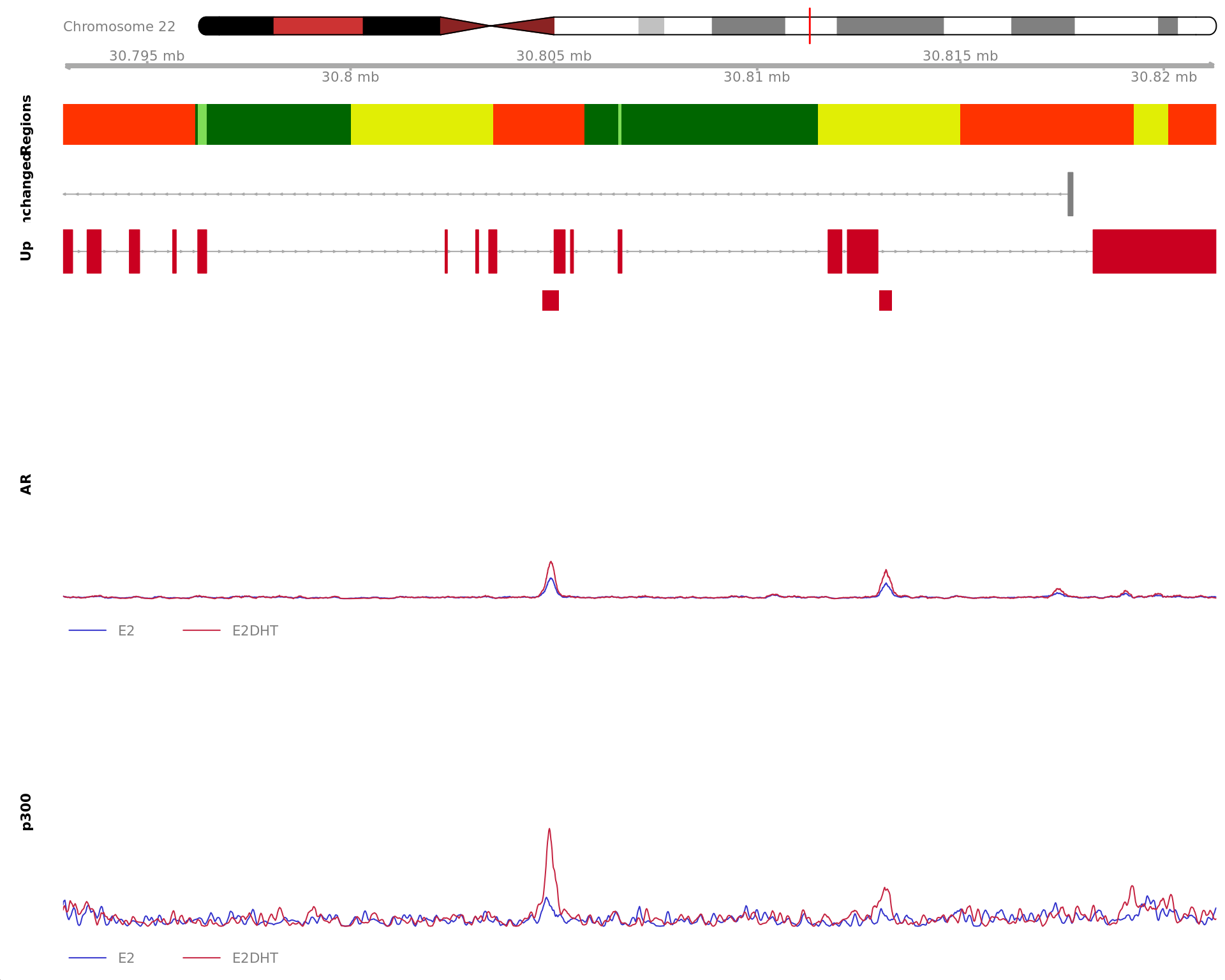 *Region showing all merged AR-bound windows mapped to CLDN8. Windows considered to be unchanged for AR are annotated in grey, with other colours indicating AR gain or loss. Mapped windows are only shown if within 5Mb of CLDN8. Gene-centric regions and external features are shown in the top panel. The estimated logFC for CLDN8 is 2.31 with an FDR of 1.01e-09. Undetected and unchanged genes are shown on separate tracks.*