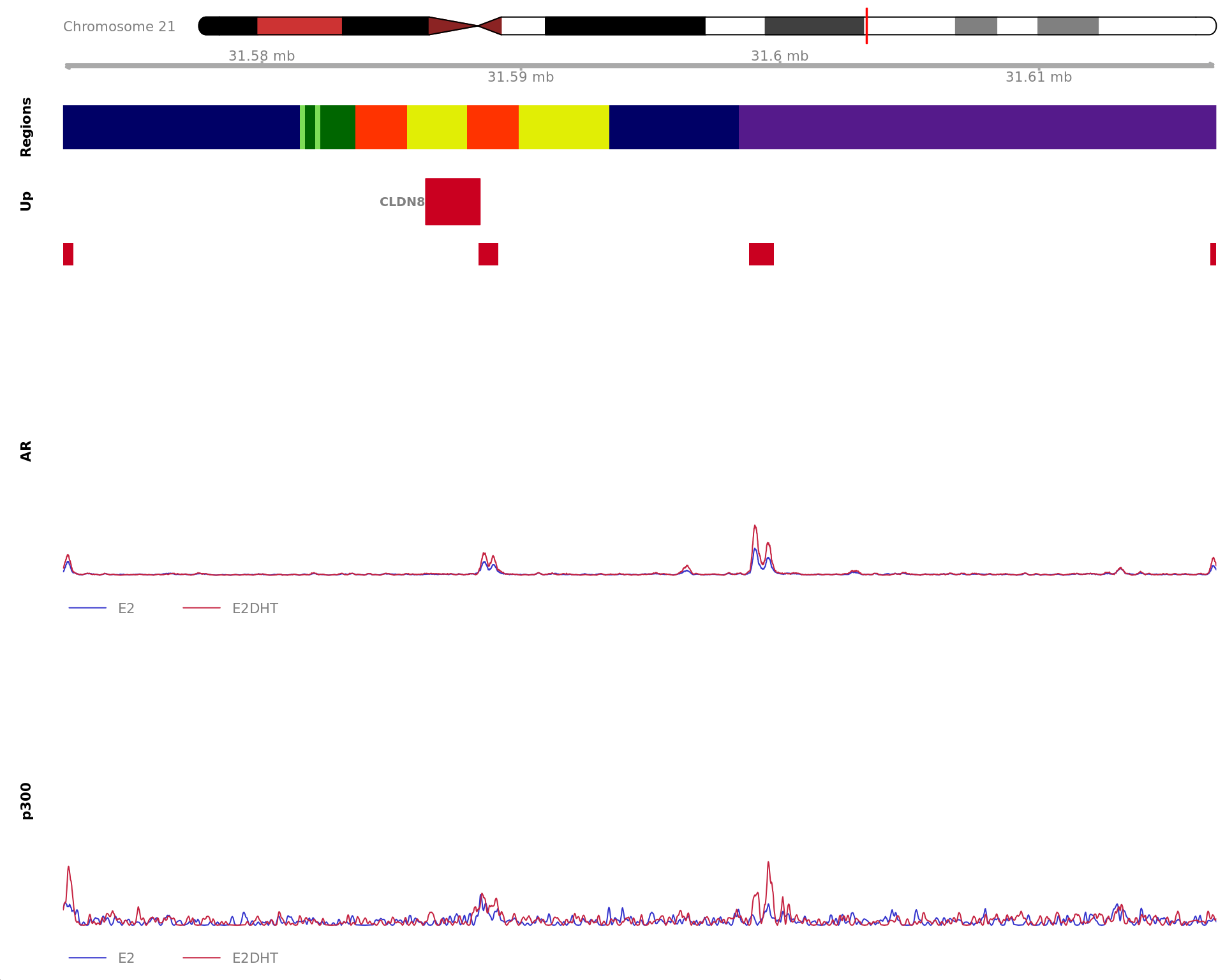 *Region showing all merged AR-bound windows mapped to CLDN8. Windows considered to be unchanged for AR are annotated in grey, with other colours indicating AR gain or loss. Mapped windows are only shown if within 5Mb of CLDN8. Gene-centric regions and external features are shown in the top panel. The estimated logFC for CLDN8 is 2.31 with an FDR of 1.01e-09. Undetected and unchanged genes are shown on separate tracks.*