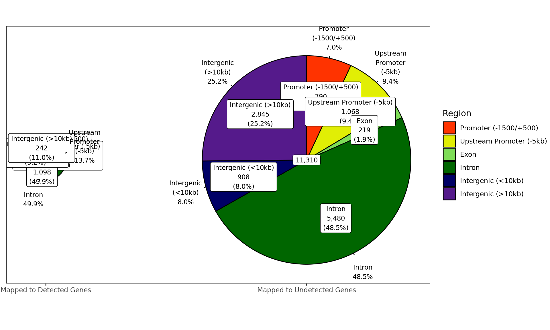 *Distribution of AR-bound windows by region, according to whether the window is mapped to a detected gene in the RNA-Seq dataset.*