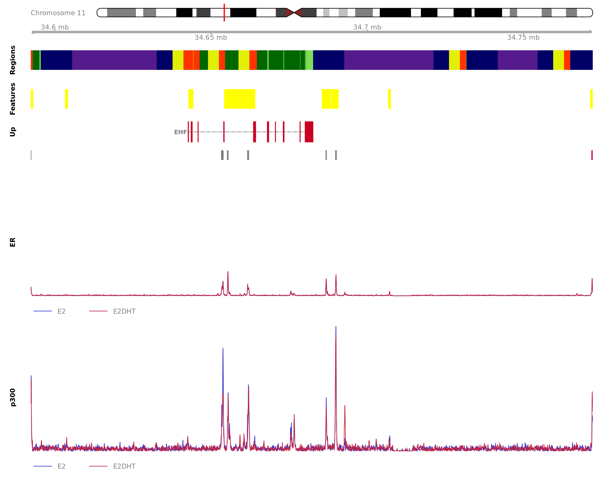 *Region showing all merged ER-bound windows mapped to EHF. Windows considered to be unchanged for ER are annotated in grey, with other colours indicating ER gain or loss. Mapped windows are only shown if within 5Mb of EHF. Gene-centric regions and external features are shown in the top panel. The estimated logFC for EHF is 0.59 with an FDR of 1.13e-05. Undetected and unchanged genes are shown on separate tracks.*