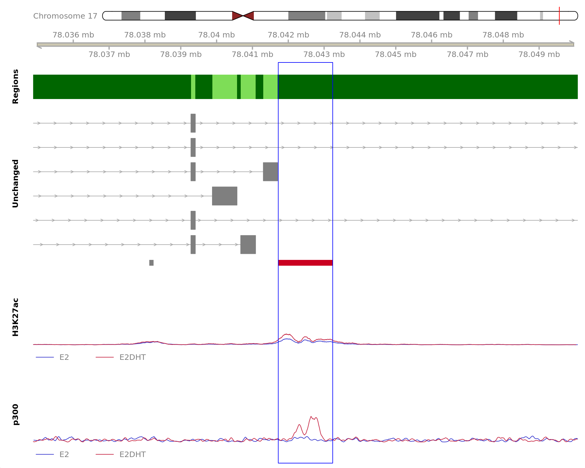 *The 1520bp region showing increased H3K27ac binding in response to E2DHT treatment (FDR = 2.48e-16). The range mostly overlapped with an Intron, with all defined regions shown as a contiguous bar. Using the features supplied in enhancer_atlas_2.0_zr75.gtf.gz, this mostly overlapped a No Feature, shown as a separate block with the gene-centric regions.  A union peak overlapping this region was identified by `macs2 callpeak` when using merged samples. Using the above mapping strategy, this range is likely to regulate CCDC40 For each sample, the y-axis limits represent the values from the window with the highest signal.*