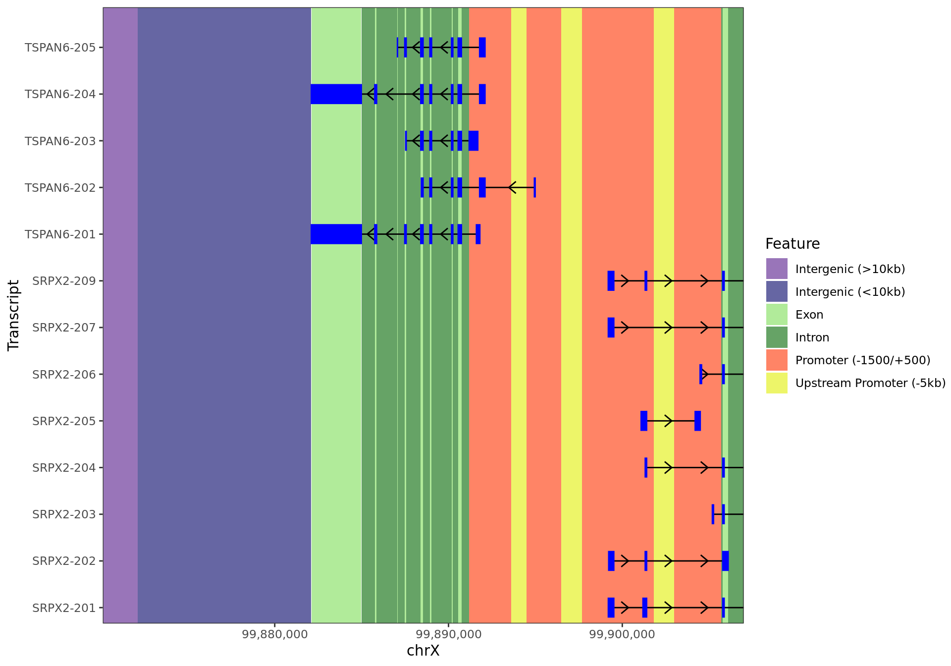 *12kb region surrounding _TSPAN6_ showing all annotated regions.*