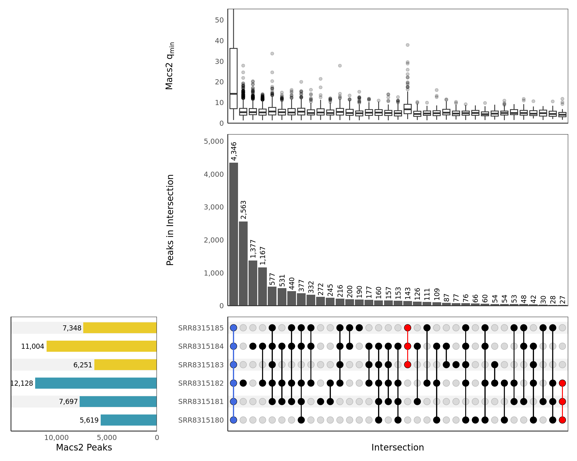 *UpSet plot showing all samples. Any potential sample/treatment mislabelling will show up clearly here as samples from each group may show a preference to overlap other samples within the same treatment group. Peaks shared between all samples, and exclusive to those within each treatment group, are highlighted if found. Intersections are only included if 10 or more sites are present. The top panel shows a boxplot of the min $q$-values produced by `macs2 callpeak` for each peak in the intersection as representative of the sample with the weakest signal for each peak. The y-axis for the top panel is truncated at the 95^th^ percentile of values.*