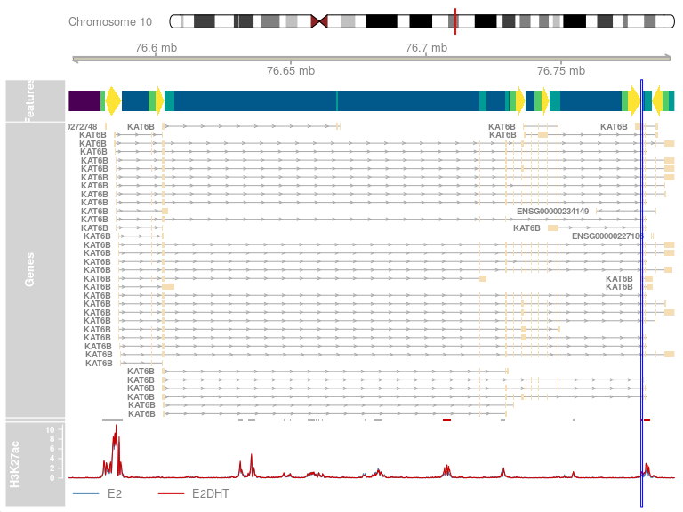 The addition of an annotation track for the coverage tracks shows which regions were retained during the analysis, as well as those which were considered as showing changed or unchanged signal