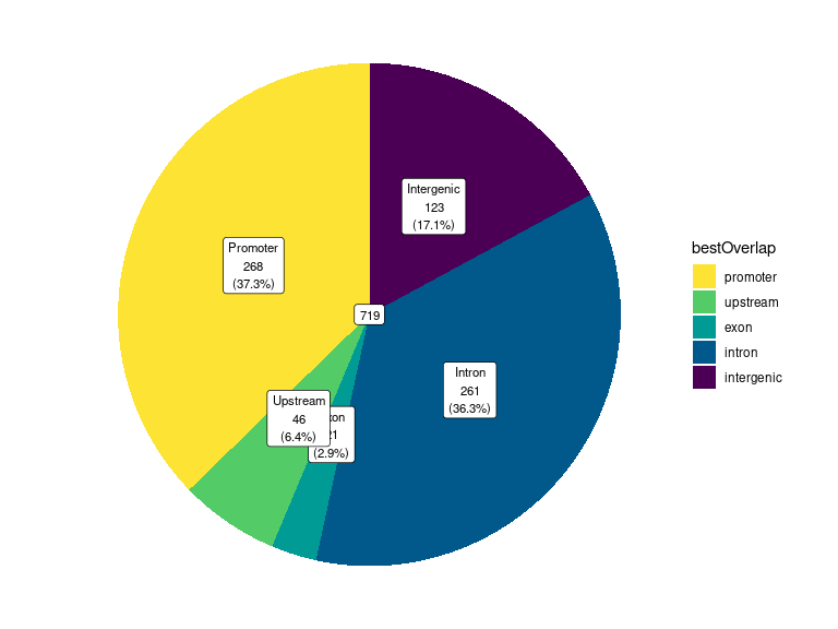 *Pie chart showing customised labels. Here the regions have been modified to use title case in the labels, but without modifying the underlying data.*